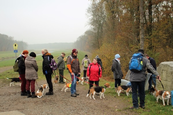 Auenwaldwanderung (38)