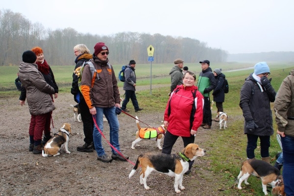 Auenwaldwanderung (39)