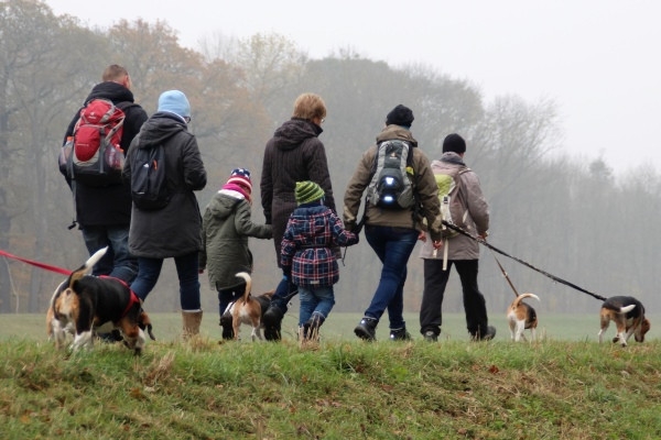 Auenwaldwanderung (41)