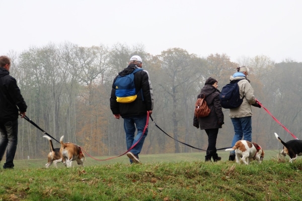 Auenwaldwanderung (42)