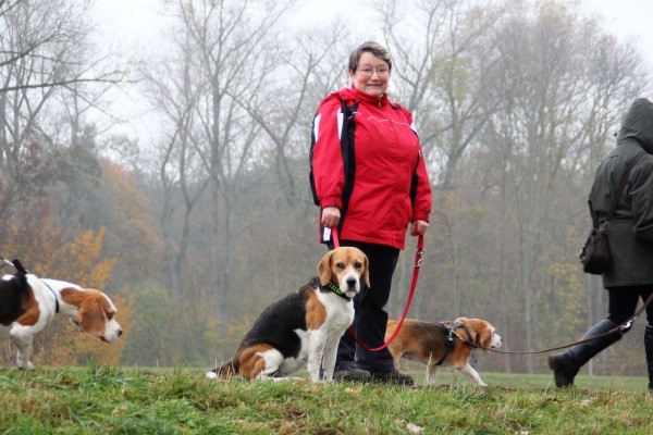 Auenwaldwanderung (43)