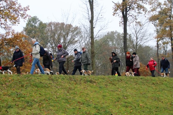 Auenwaldwanderung (44)