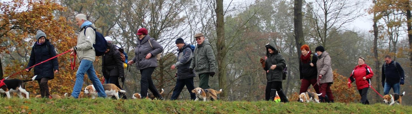 Auenwaldwanderung (44A)