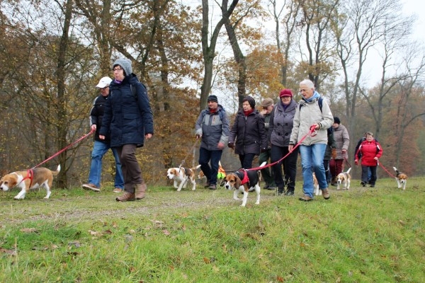 Auenwaldwanderung (45)