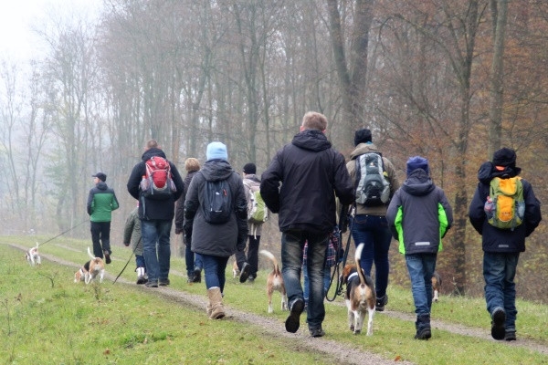 Auenwaldwanderung (46)