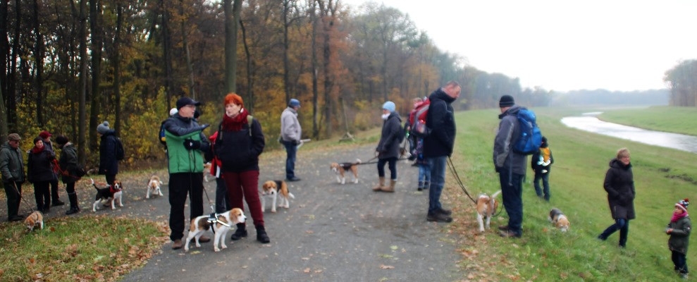 Auenwaldwanderung (58)