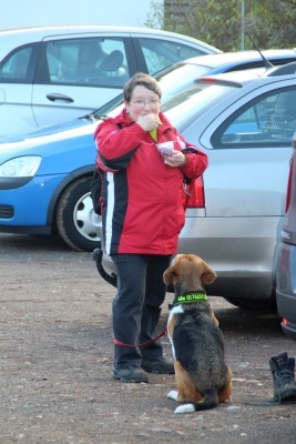 Auenwaldwanderung (61)