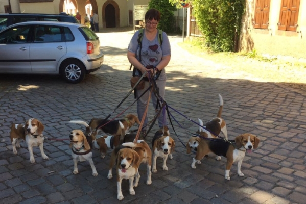 IMG-20170527-WA0003a