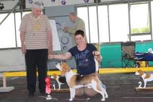 Gebrauchhund_R_V1_Clubsieger2017