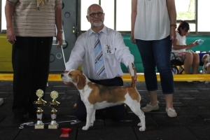 Jugend_H_V1_-und-Clubjugendsiegerin