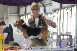 Jugend_R_V2-und-Clubjugendsieger