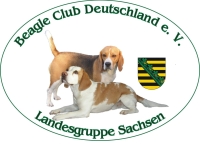 Logo4