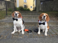 Anton mit seinem Freund Colin