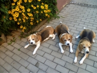 Eyca, Emma und Angelina