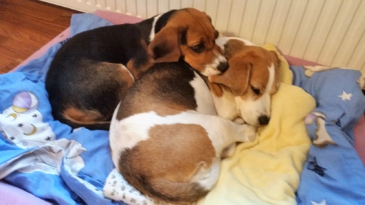 20171224_102024 Pia und Caro 10