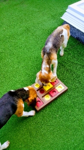 20180909_170402-EFFECTS