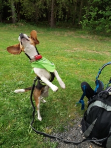 die Energie ist grenzenlos