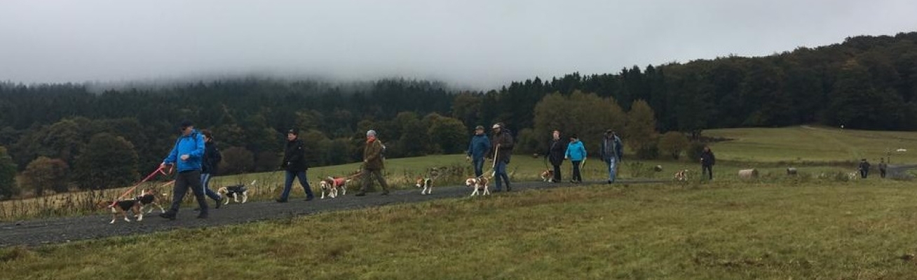 IMG-20191005-WA0003neu