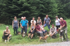 Beagle-Wanderung Kirnitzschtal - Elbsandsteingebirge