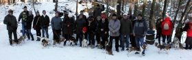 Beagle-Wanderung in Coswig Januar 2017