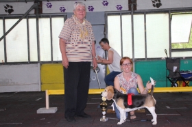 CSS des BCD Emma aus der LG - vorzüglicher 1. Platz Offene Klasse