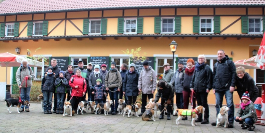 Wanderung durch den Leipziger Auenwald zur Domholzschänke