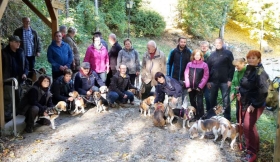 Beaglewochenende in der Fränkischen Schweiz