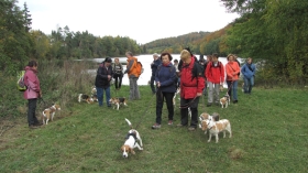 Beaglewochenende im Harz in Güntersberge