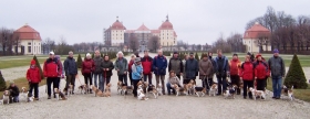 Beaglewanderung um das Moritzburger Wildgehege