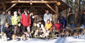 Beagle-Wochenende Pressel